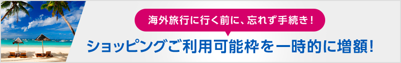 �C�O���s�ɍs���O�ɁA�Y�ꂸ�葱���I�V���b�s���O�����p�\�g���ꎞ�I�ɑ��z�I