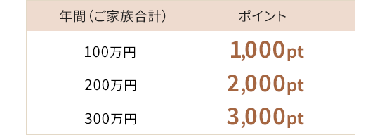 年間(ご家族合計)100万円でポイント1,000pt 年間(ご家族合計)200万円でポイント2,000pt 年間(ご家族合計)300万円でポイント3,000pt