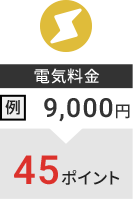 電気料金 例:9,000円→45ポイント