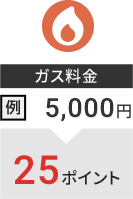 ガス料金 例:5,000円→25ポイント