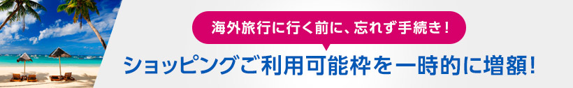 �C�O���s�ɍs���O�ɁA�Y�ꂸ�葱���I�V���b�s���O�����p�\�g���ꎞ�I�ɑ��z�I
