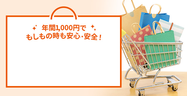 �N��1,000�~�ł������̎������S�E���S�I 