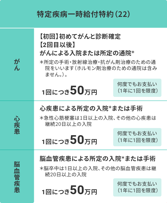 ���莾�a�ꎞ���t����i22�j �v������
