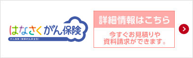 �͂Ȃ�������ی� ����ی��i����񕥖ߋ��^�j ���������͂����� �����������ς�⎑���������ł��܂��B