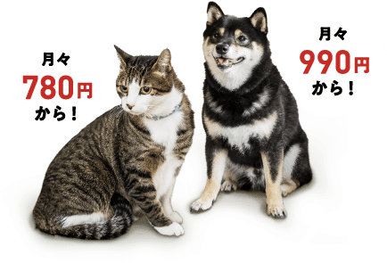 �L�͌��X780�~����I���͌��X990�~����I