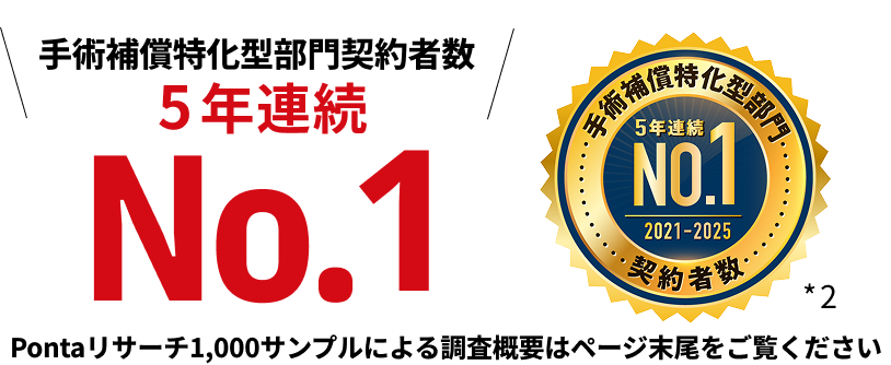 ��p�⏞�����^����_��Ґ� 5�N�A��No.1