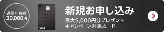 �ʏ�N���30,000�~ �v���`�i�V�K���\������ �ő�5,000�~���v���[���g�L�����y�[���ΏۃJ�[�h