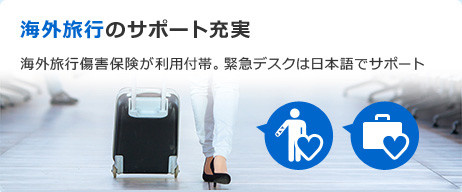 �C�O���s�̃T�|�[�g�[��